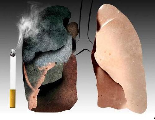 肺癌患者可以吃八棱瓜吗,八棱瓜的营养益处与食用建议