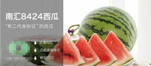 合格的吃瓜名字,揭秘那些令人捧腹的合格吃瓜名字背后的故事