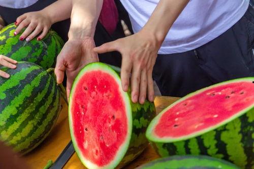 南昌学校吃瓜事件,校园风波背后的真相与反思