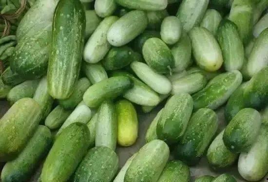 云南昆工吃瓜,吃瓜群众的热闹日常