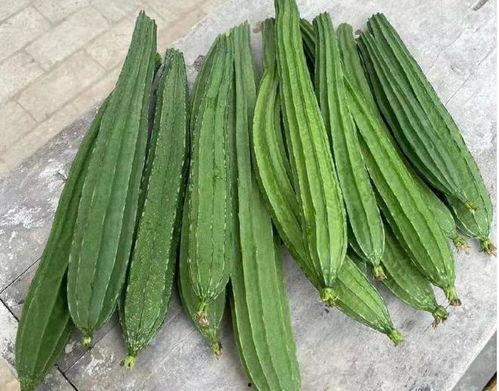 绿色的瓜怎么吃,绿色瓜果的多彩食法探索