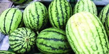 什么瓜吃的最甜