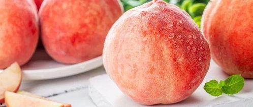 桃桃小号吃瓜吃美食,瓜田美食两不误，尽享生活乐趣