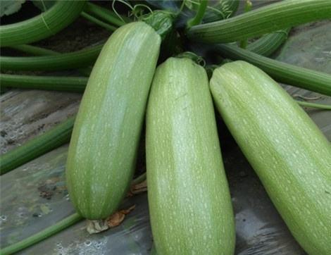 雨西吃瓜,揭秘娱乐圈幕后故事