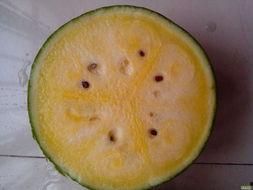 大家去哪吃瓜,揭秘“大家去哪吃瓜”的幕后故事