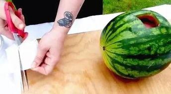 文安吃瓜最新视频,揭秘幕后真相，带你领略娱乐圈风云