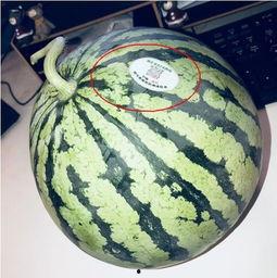 国内网红吃瓜,揭秘娱乐圈幕后真相