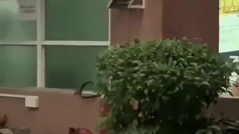 哈尔滨最新吃瓜新闻