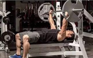 吃瓜健身杠铃,杠铃助力塑形之旅