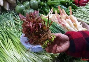 热心王友吃瓜,揭秘娱乐圈幕后真相