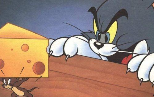 吃瓜的杰瑞,揭秘娱乐圈背后的那些事儿