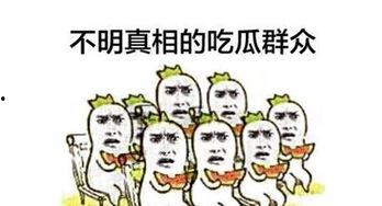胖子吃瓜群众,揭秘网络热议背后的真相与笑料