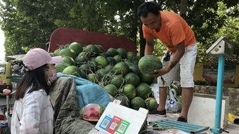 济宁学校吃瓜,揭秘校园里的那些“秘密”