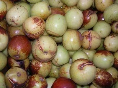 歪瓜裂枣吃不得,食品安全记心间