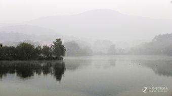 一蓑烟雨吃瓜,揭秘网络热词背后的文化现象