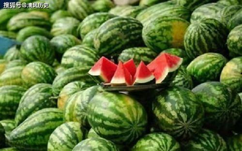 吃瓜哪儿有,带你领略“吃瓜哪儿有”的独特魅力