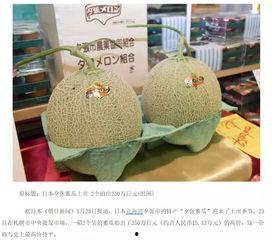 作者我吃蜜瓜,我吃蜜瓜的甜蜜人生之旅