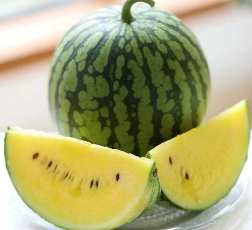 哪里可以吃明星瓜,明星美食之旅，哪里可以吃尽明星瓜