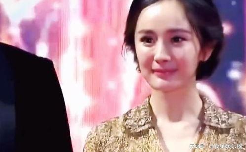 吃瓜明星前任,揭秘明星前任的甜蜜与苦涩