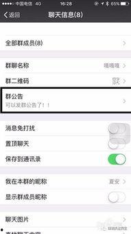 吃瓜日更qq群,揭秘网络社交圈的趣味日常